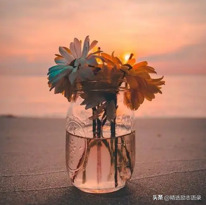 简洁干净治愈的句子，治愈心情正能量的文案(图4)