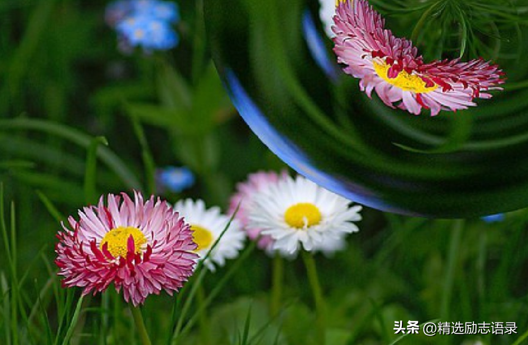 简洁干净治愈的句子，治愈心情正能量的文案(图5)