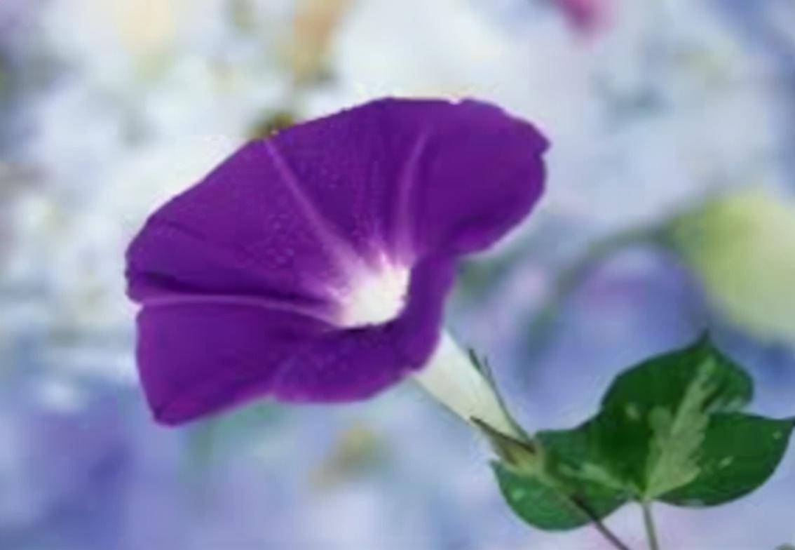 「荐读」那些闪烁着智慧光芒的名人名言30句(图13)