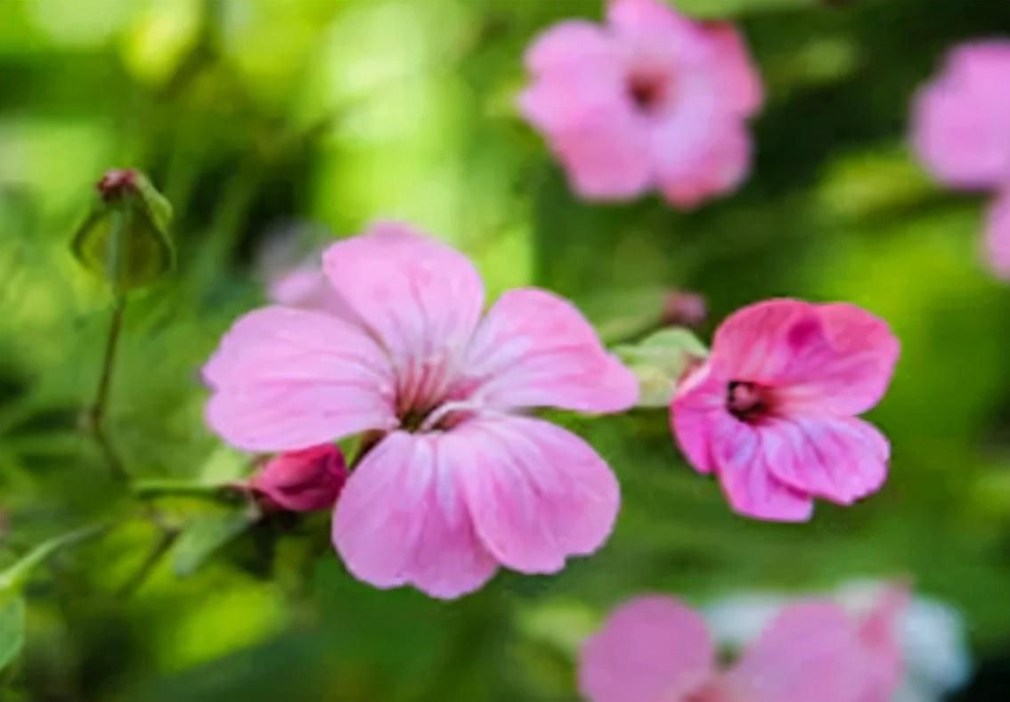 「荐读」那些闪烁着智慧光芒的名人名言30句(图14)