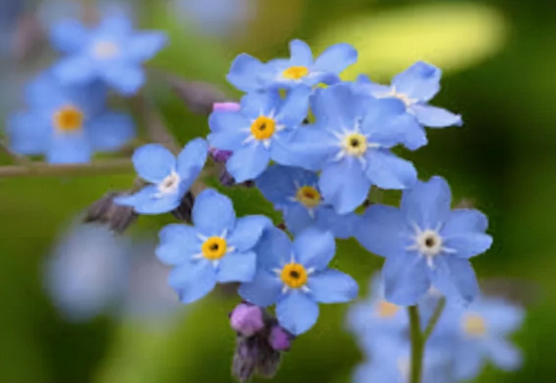 「荐读」那些闪烁着智慧光芒的名人名言30句(图15)