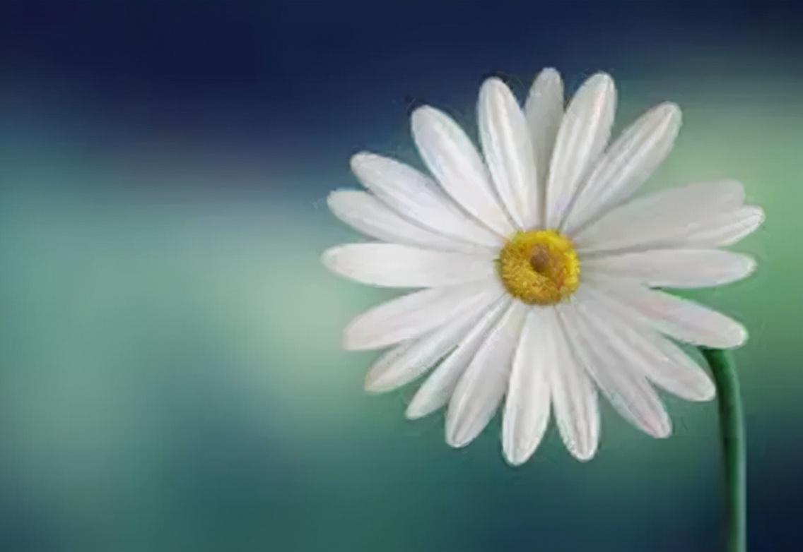 「荐读」那些闪烁着智慧光芒的名人名言30句(图16)