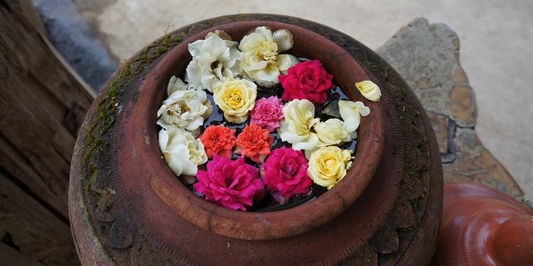 对朋友寒心的句子心情说说 心凉只需一瞬间(图1)