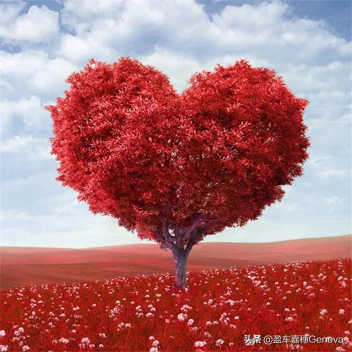 「木心.爱情语录」从前，车马慢，一生只爱一个人.(图2)