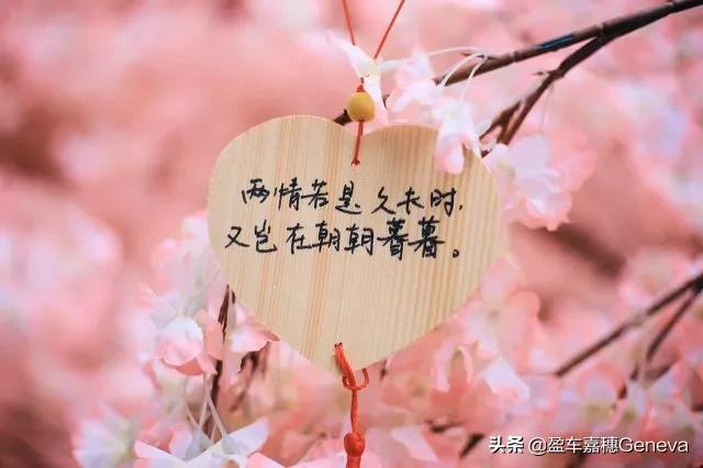 「木心.爱情语录」从前，车马慢，一生只爱一个人.(图4)