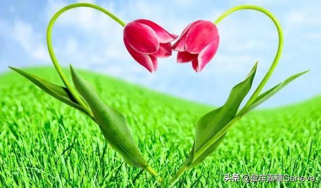 「木心.爱情语录」从前，车马慢，一生只爱一个人.(图5)