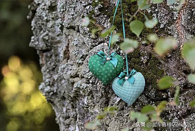 「木心.爱情语录」从前，车马慢，一生只爱一个人.(图7)