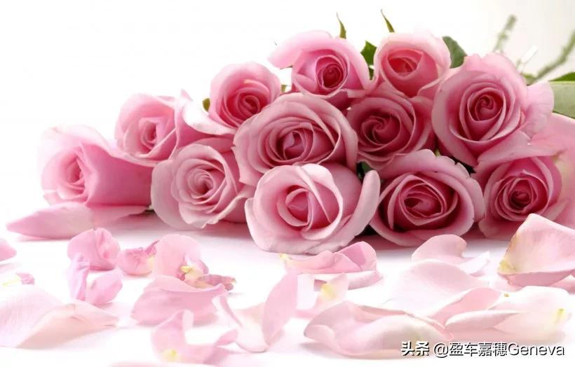 「木心.爱情语录」从前，车马慢，一生只爱一个人.(图9)