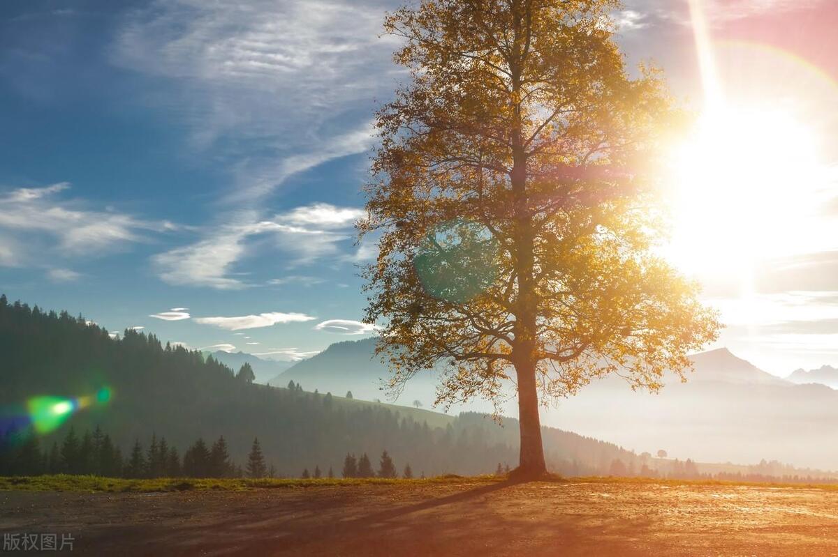 人生感悟：柔韧与适应，克服人生的困境(图6)