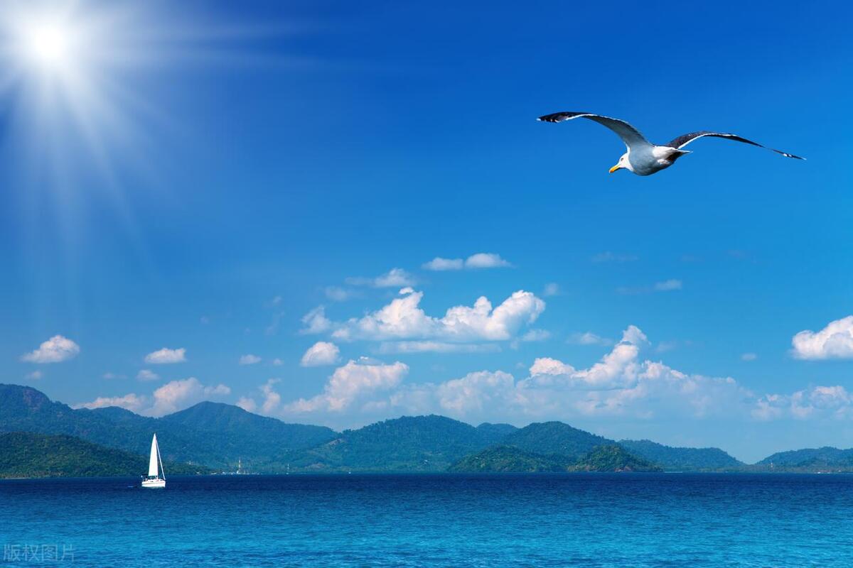 人生感悟：柔韧与适应，克服人生的困境(图7)