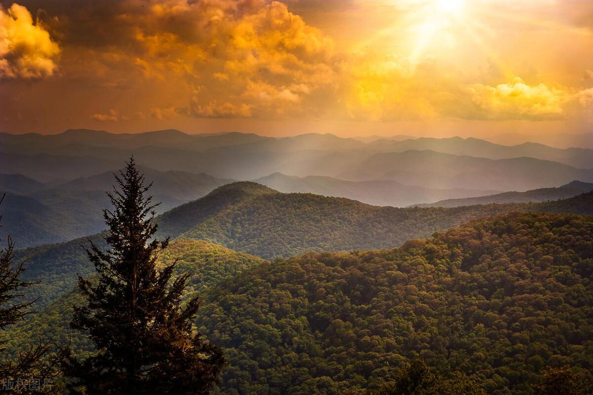 人生感悟：柔韧与适应，克服人生的困境(图9)