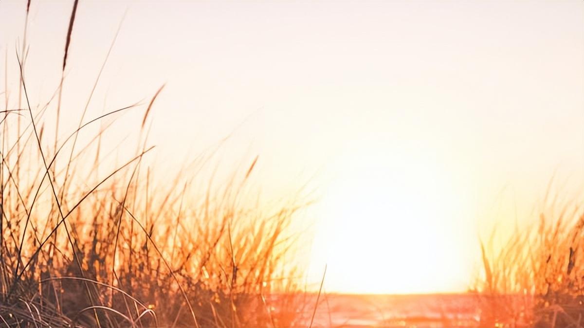 【好文分享】那些熟悉的旋律，直叩心扉(图3)