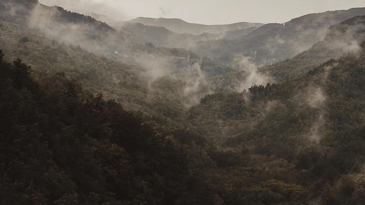 【好文分享】那些熟悉的旋律，直叩心扉(图4)