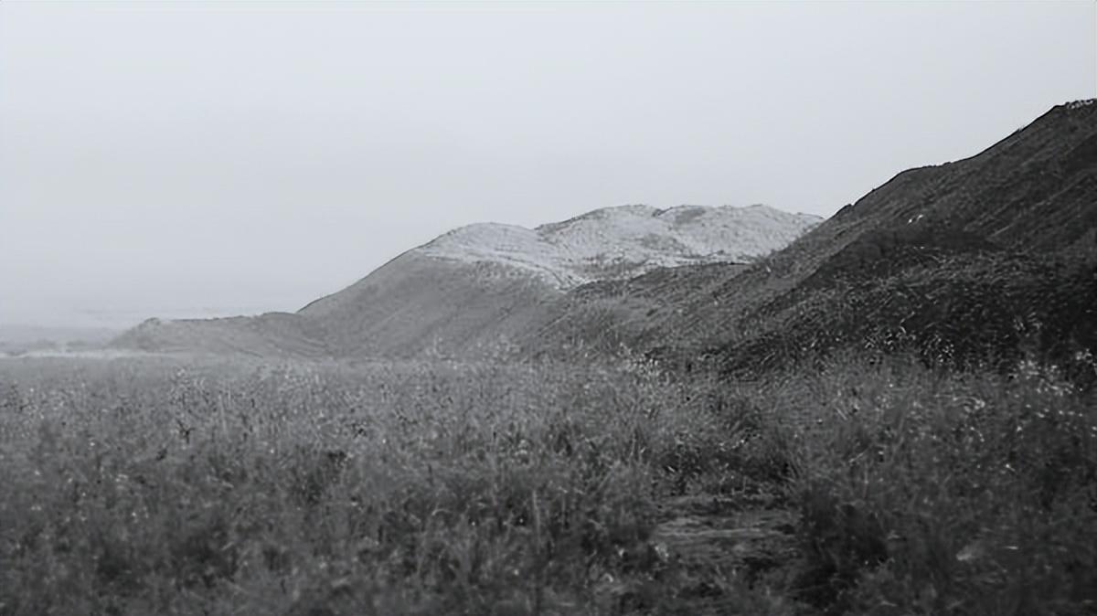 【好文分享】那些熟悉的旋律，直叩心扉(图5)