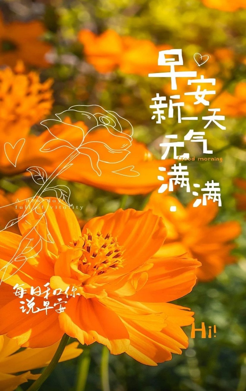 早安心语 喜欢的就去追求，想说的就勇敢表达(图1)