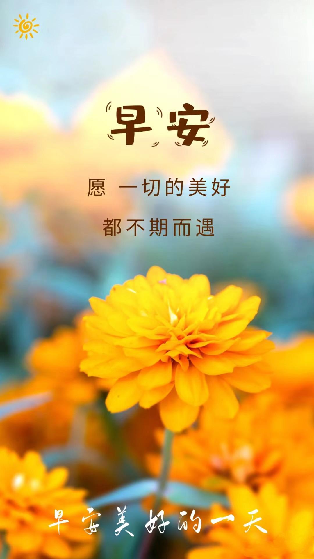 早安心语 喜欢的就去追求，想说的就勇敢表达(图2)