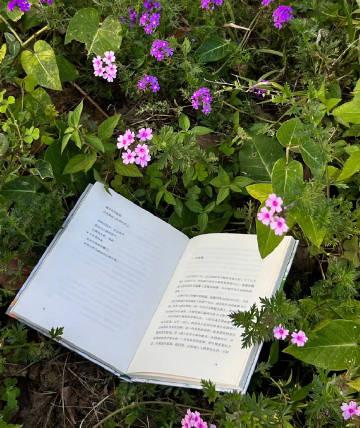 与你心有灵犀的干净语录,你最喜欢哪一句?(图6) 与你心有灵犀的干净语录,你最喜欢哪一句?(图6)