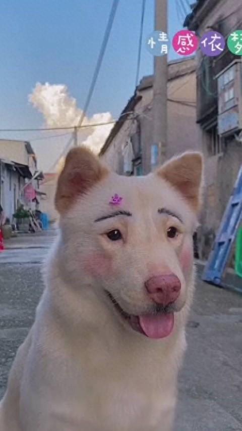 碰触心灵的情感句子，真挚走心……(图1)