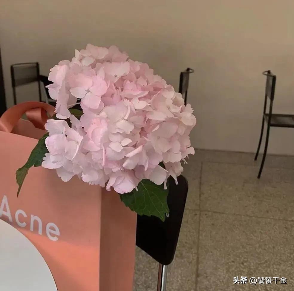 浪漫文案|你是我最美的相遇，我会把你当成手心里的宝(图1)