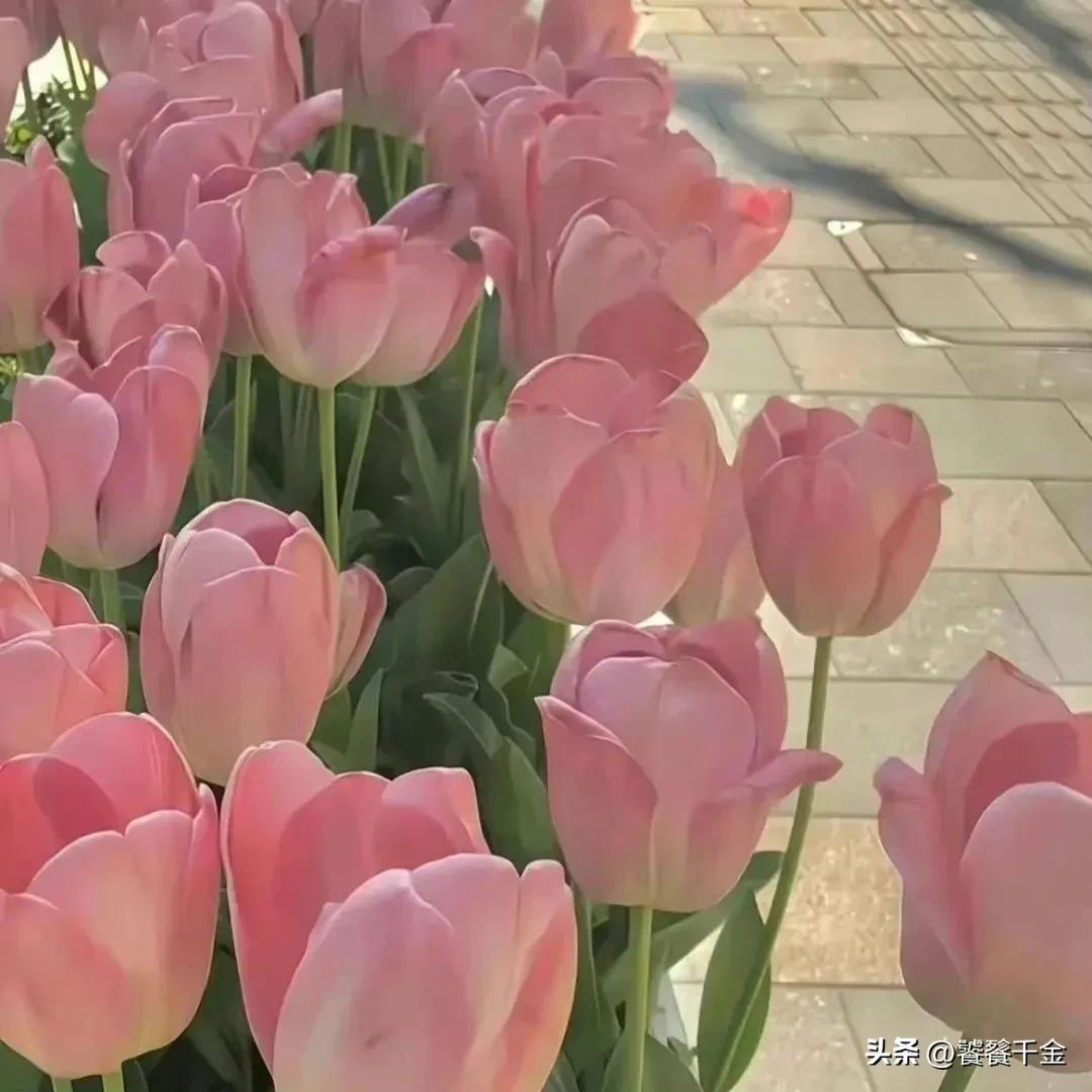 浪漫文案|你是我最美的相遇，我会把你当成手心里的宝(图2)