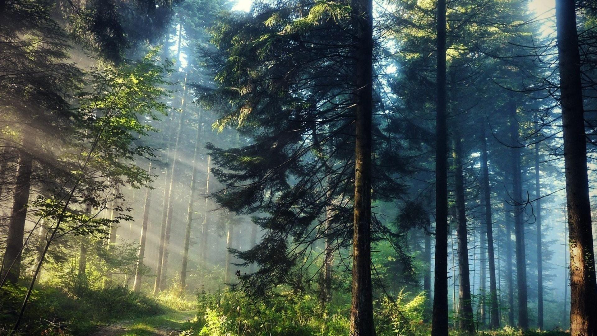 好希望陪着你一直到老，让你做我手心里的宝……(图1)