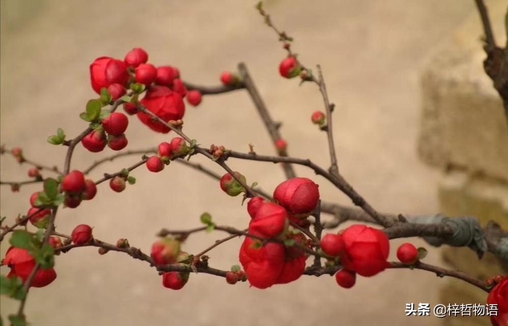 《厚黑学》精髓的5+12句话，记住终身受益！(图6)