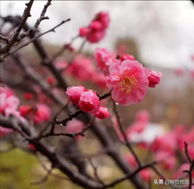 《厚黑学》精髓的5+12句话，记住终身受益！(图7)