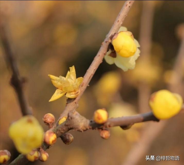 《厚黑学》精髓的5+12句话，记住终身受益！(图8)