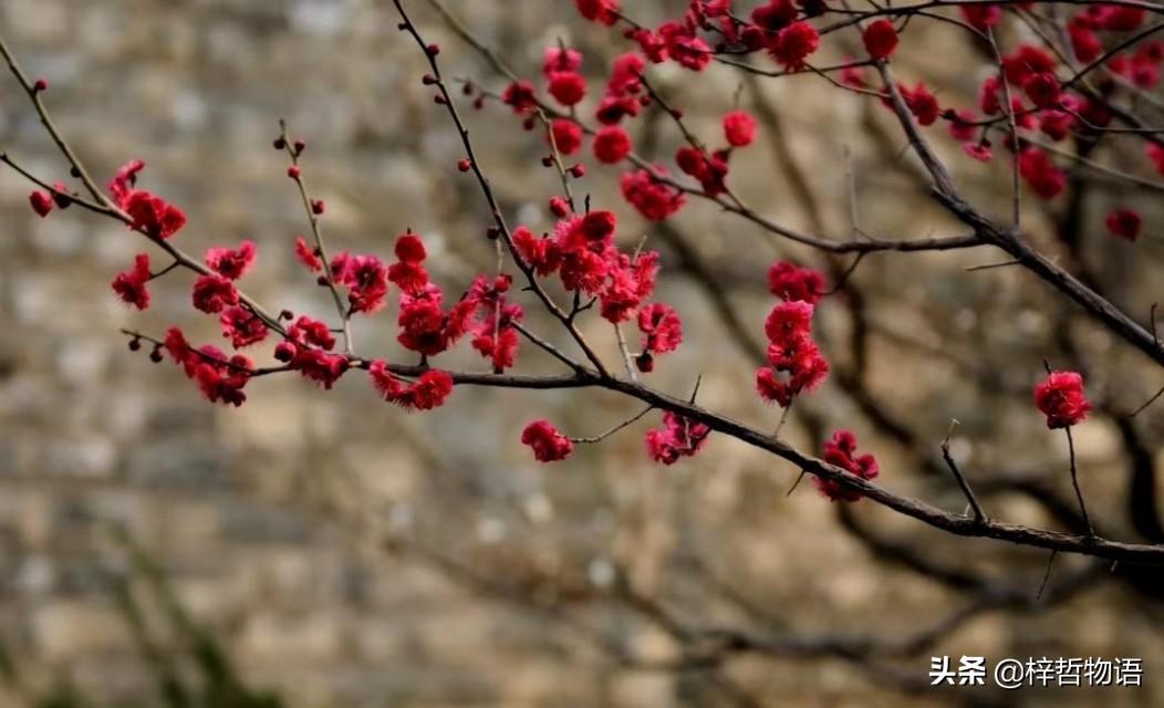 《厚黑学》精髓的5+12句话，记住终身受益！(图9)