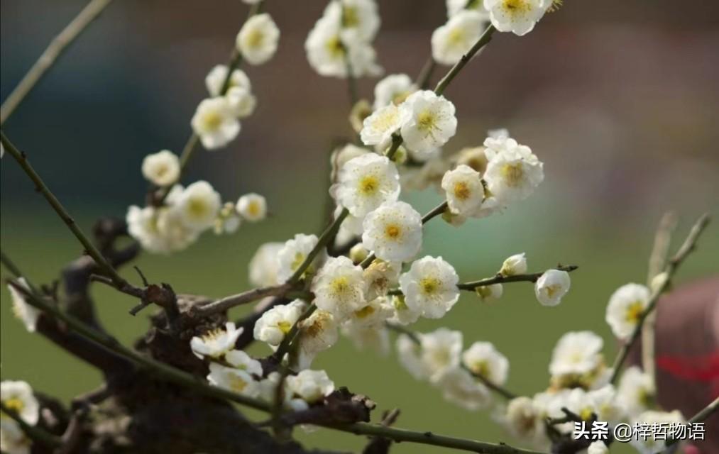 《厚黑学》精髓的5+12句话，记住终身受益！(图10)