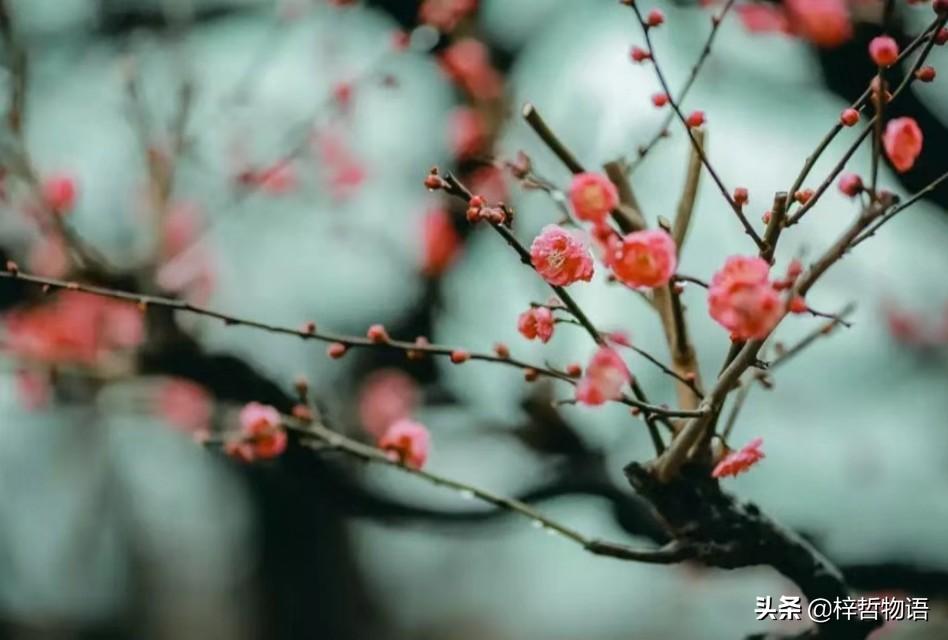 《厚黑学》精髓的5+12句话，记住终身受益！(图11)