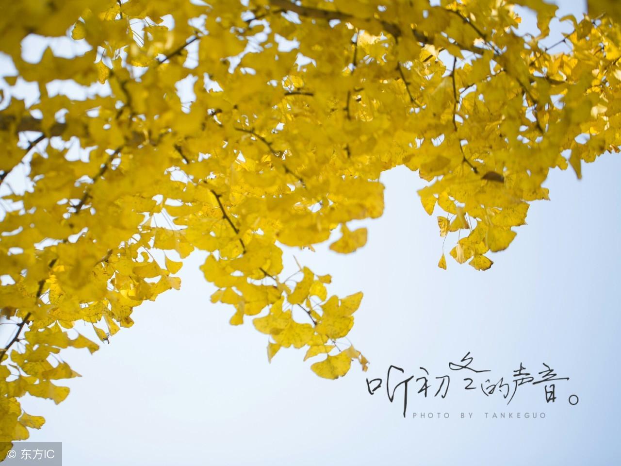 勤学励志的名言警句(图1)