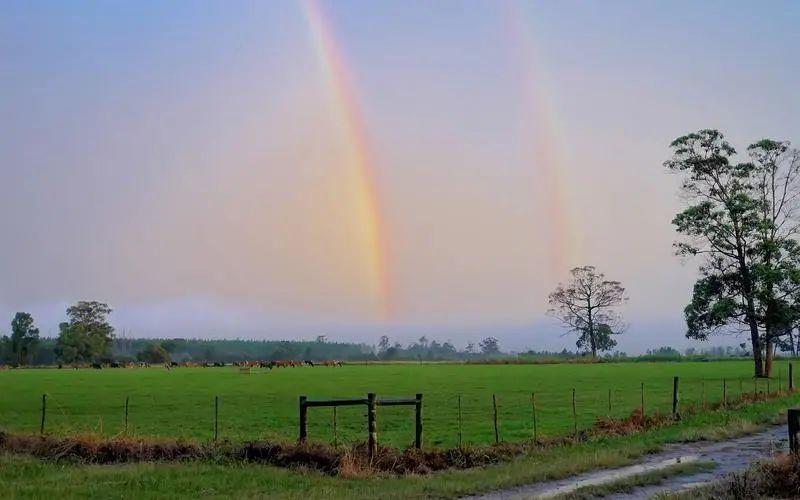 安慰别人经典暖心的话，治愈你的不开心!(图3)
