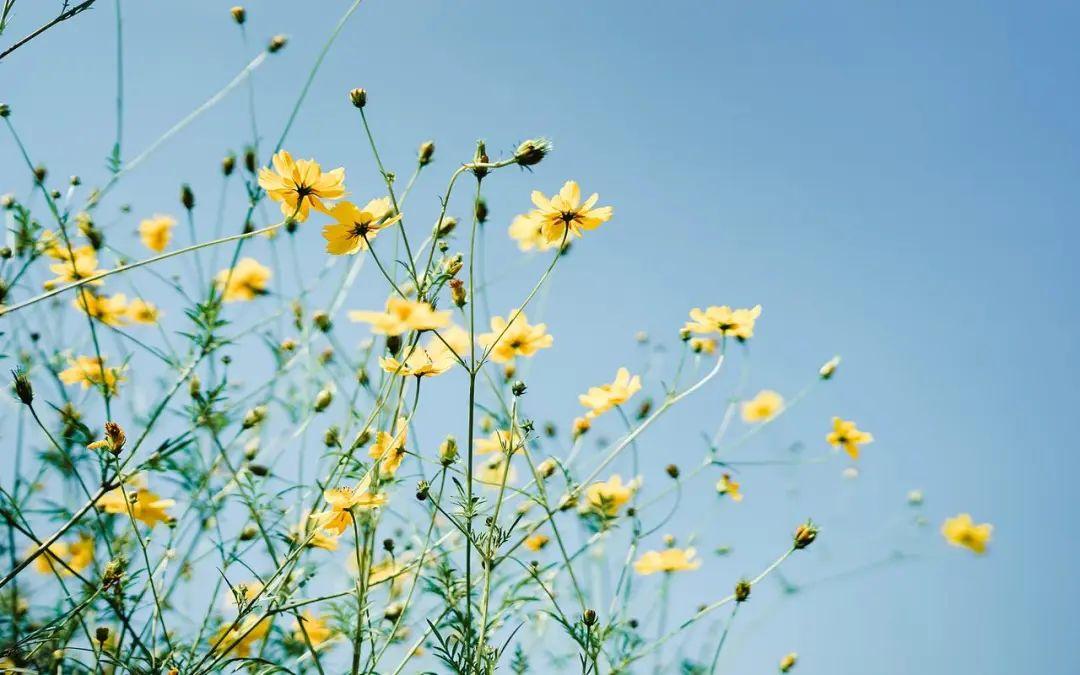 安慰别人经典暖心的话，治愈你的不开心!(图5)