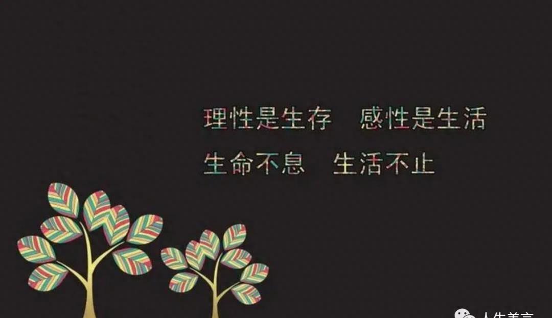 一路披荆斩棘鼓励句子，高级感励志文案短句(图3)