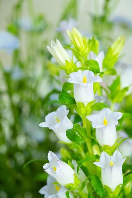 开启全新一天，从这10句励志语录开始(图1)