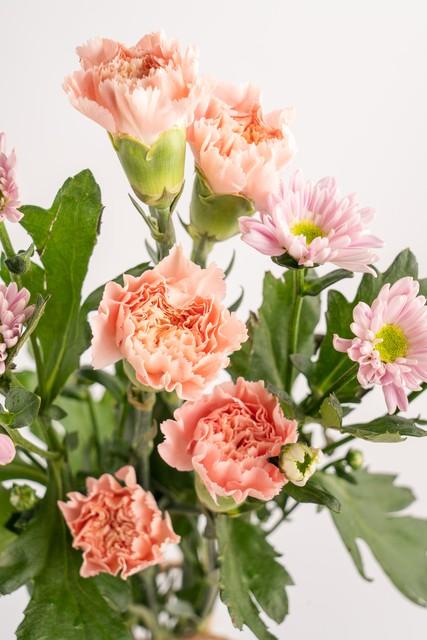 开启全新一天，从这10句励志语录开始(图2)