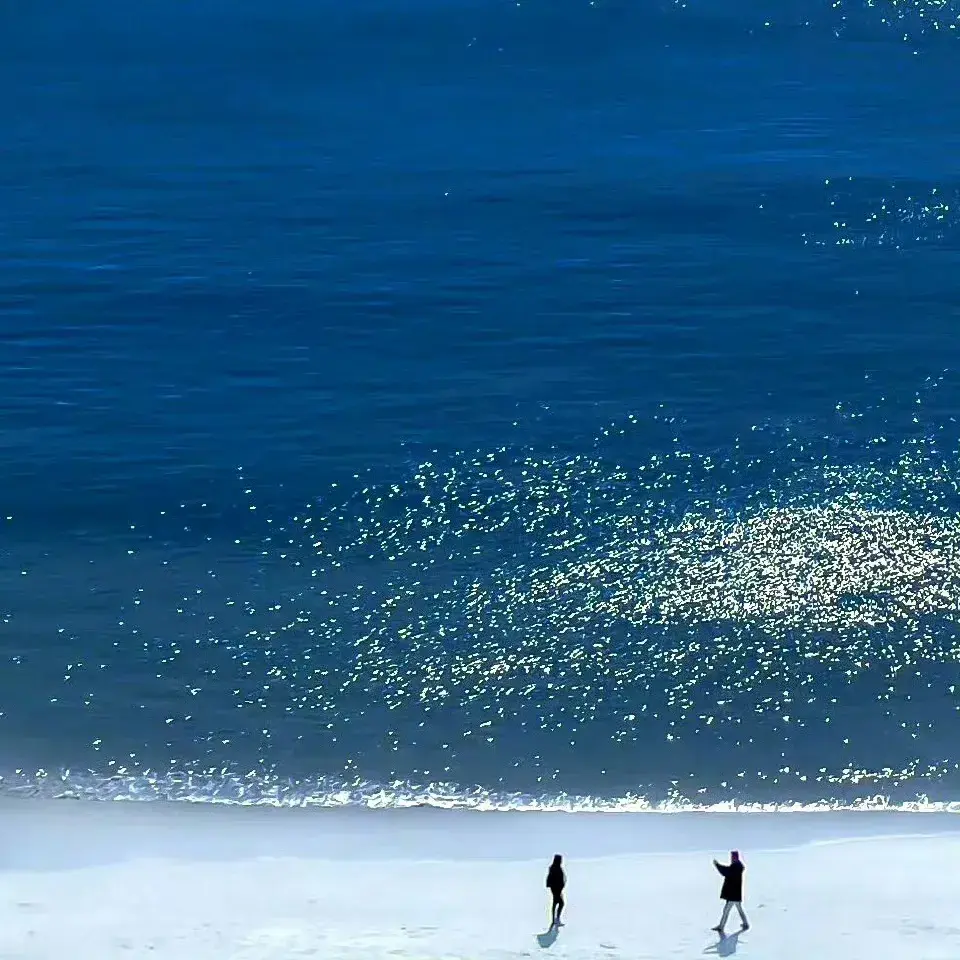 励志句子，电影摘抄(图3)