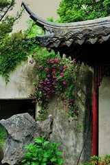 短短十首禅意诗，写尽人世无常！看尽世间百态！(图5)