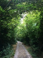 短短十首禅意诗，写尽人世无常！看尽世间百态！(图6)