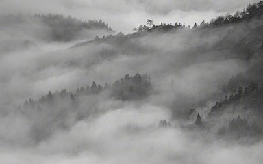 短短十首禅意诗，写尽人世无常！看尽世间百态！(图10)