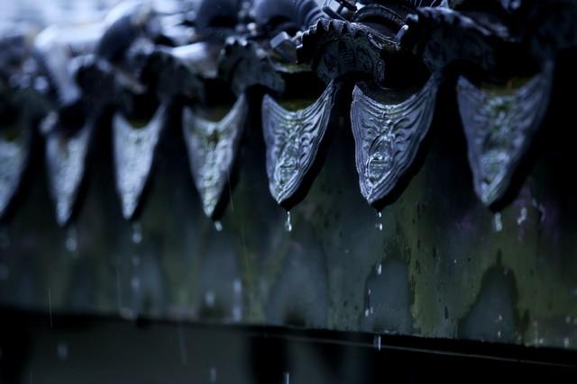 天寒地冻！湖北气温暴跌，吹吹瑟瑟寒风！冷到骨子里！(图4)