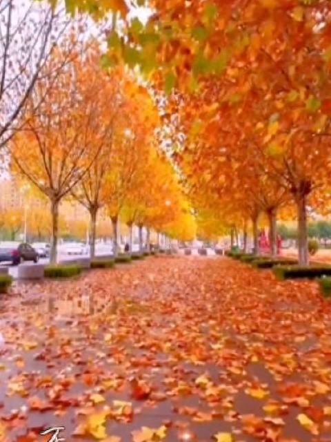 无论我们最后生疏成什么样子， 曾经对你的好都是真的……(图1)