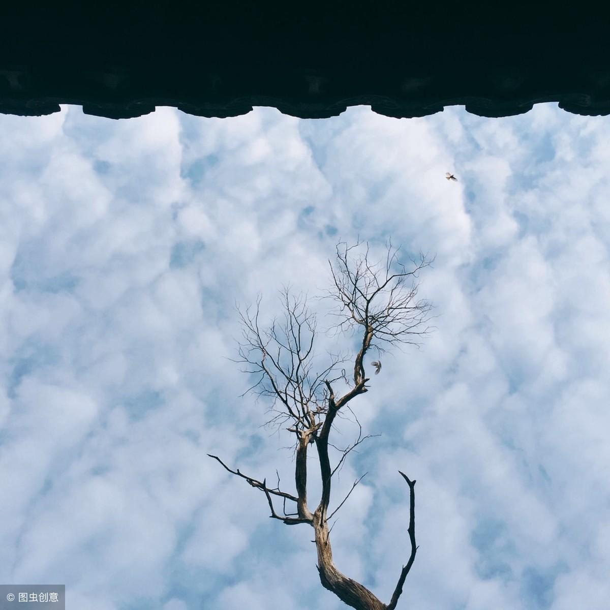 谁也不是谁的谁(图3)