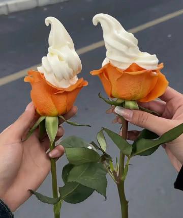 干净高质量的文案句子，唯美走心，直抵心灵！(图1)