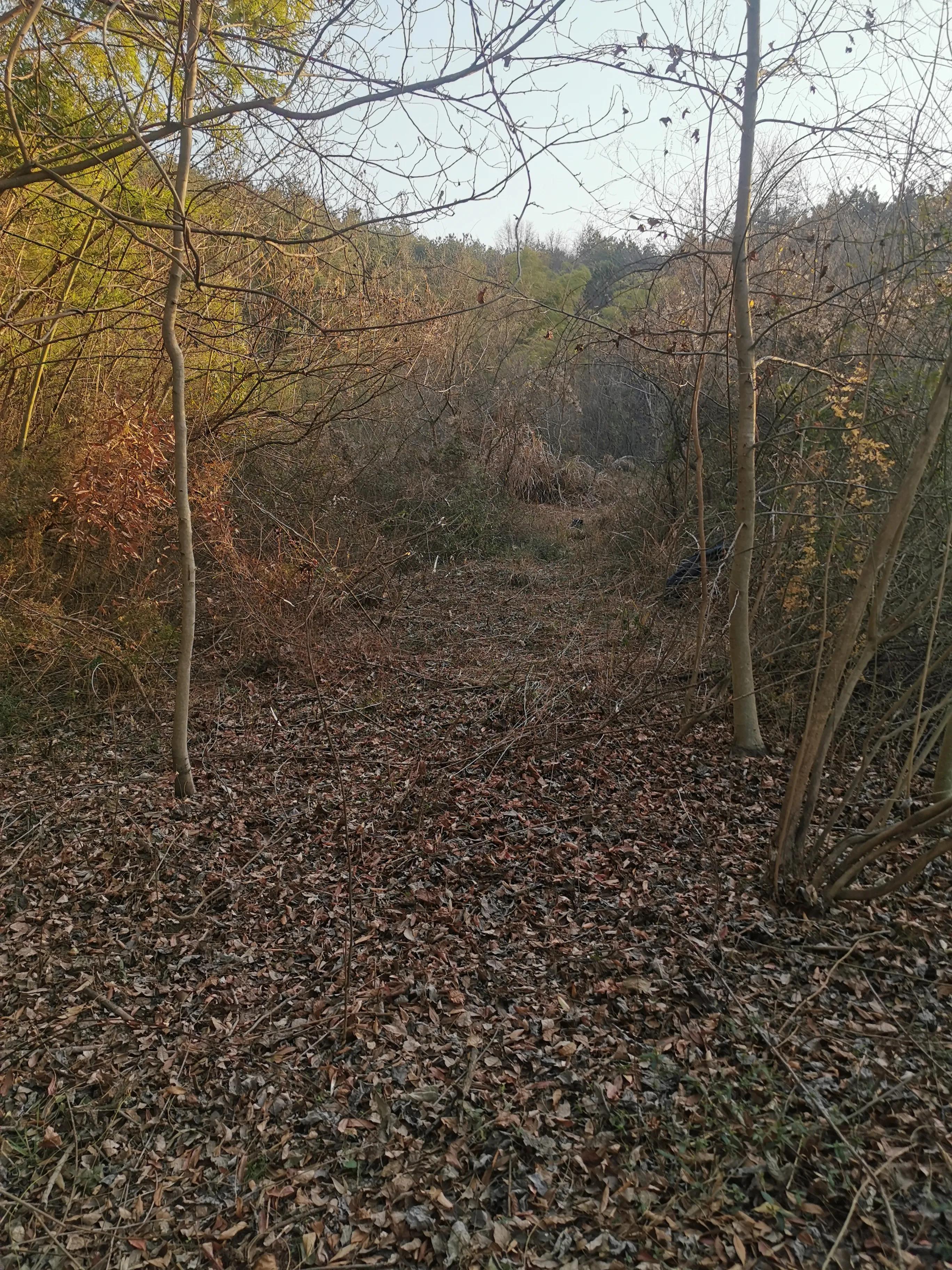 追悼我的母亲/平凡如何伟大(图3)