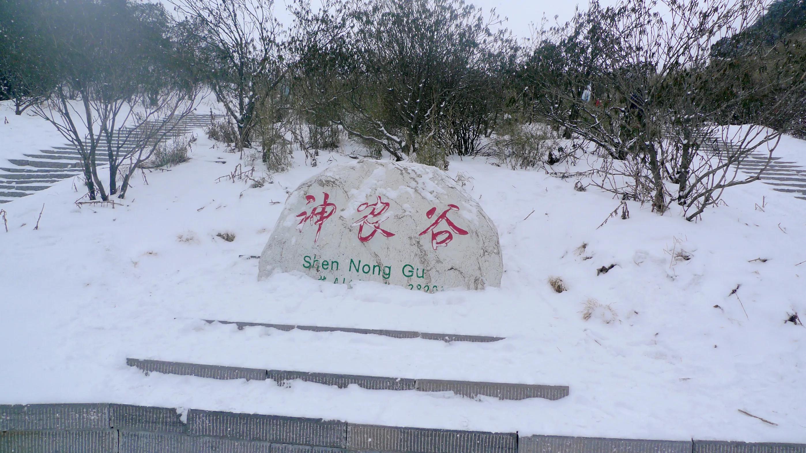 生活除了柴米油盐，还有风花雪月—写在结婚23周年纪念日(图4)