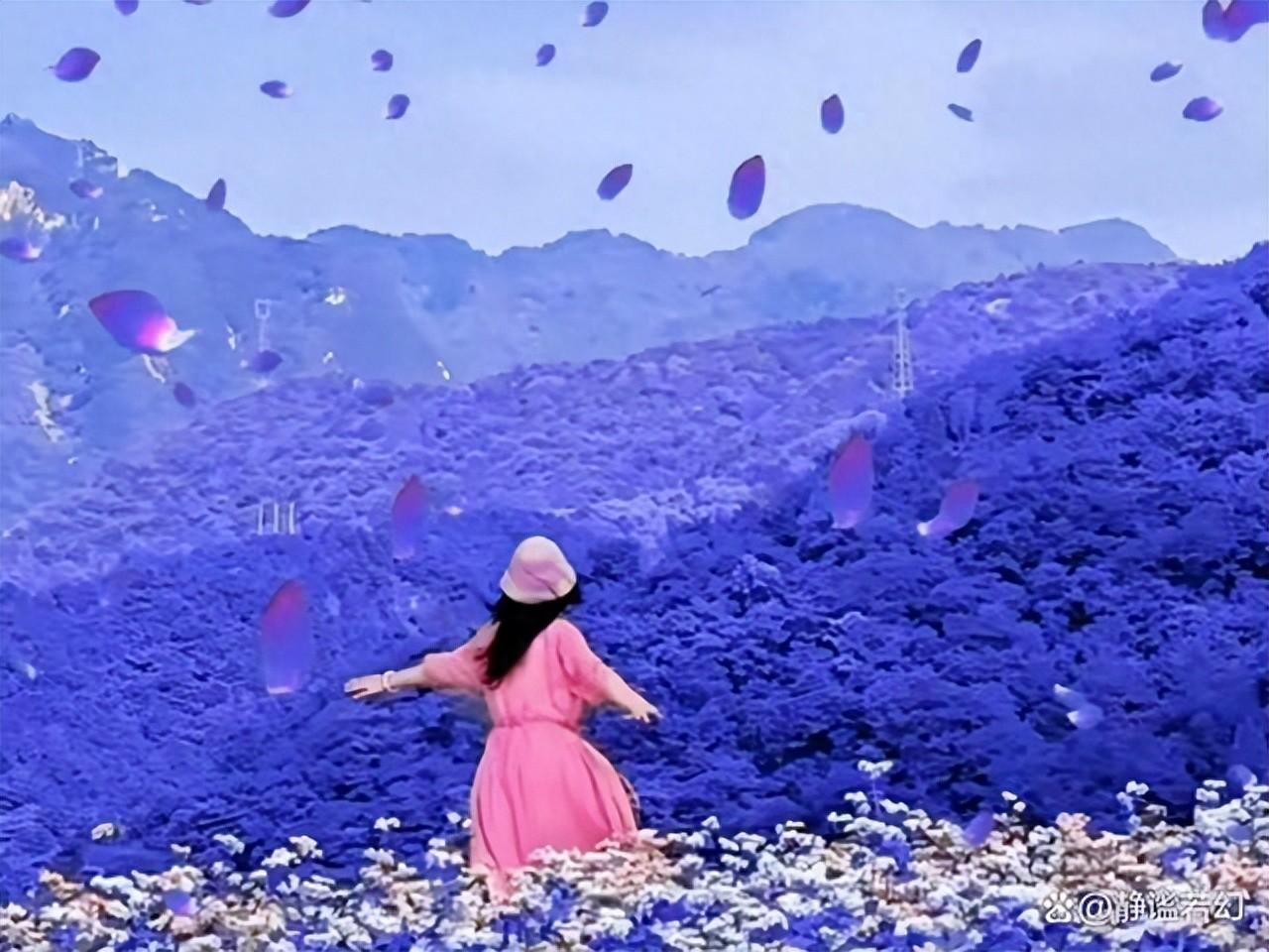 世人千万皆过客，唯你是我念念不忘的人(图1)