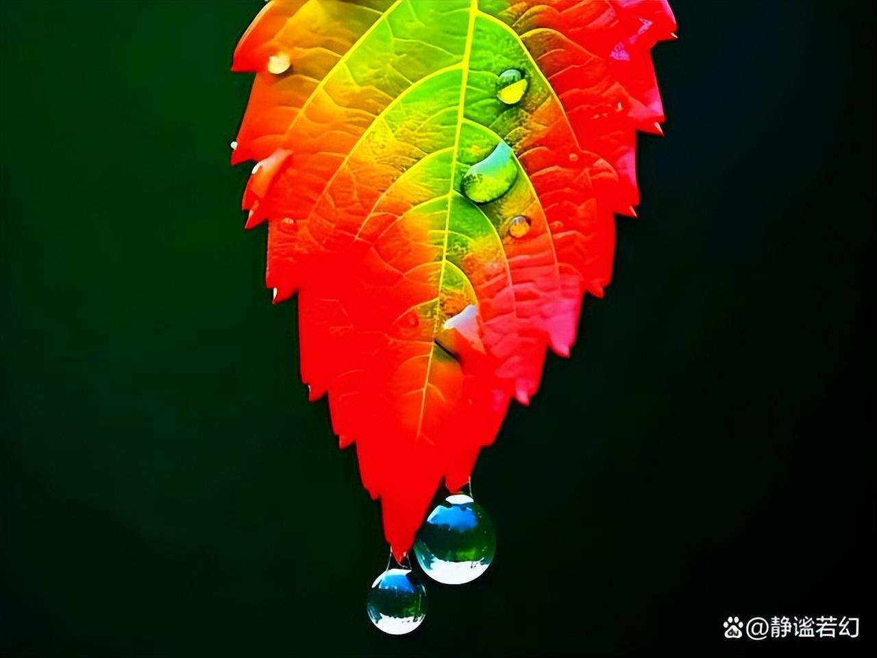 世人千万皆过客，唯你是我念念不忘的人(图7)