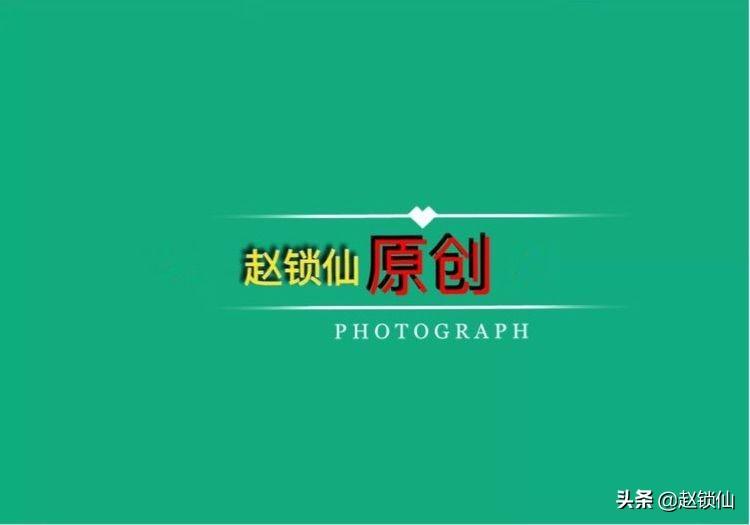 〖赵锁仙原创〗童言稚语妙无穷(图1)